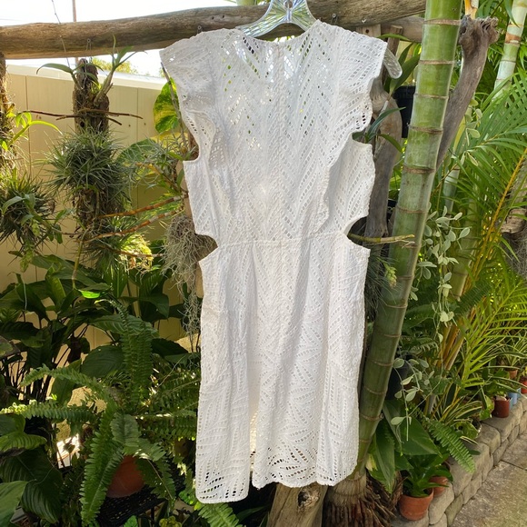 Bardot Beautiful White Eyelet Lace Dress With Peek-A-Boo Cut Outs On Sides - Picture 4 of 8